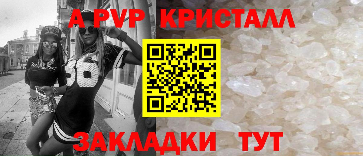 Альфа ПВП СК КРИС Элиста