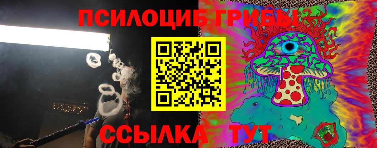 Элиста  где купить   Псилоцибиновые грибы GOLDEN TEACHER  Вход с VPN  Псилоцибиновые грибы Psilocybine cubensis 