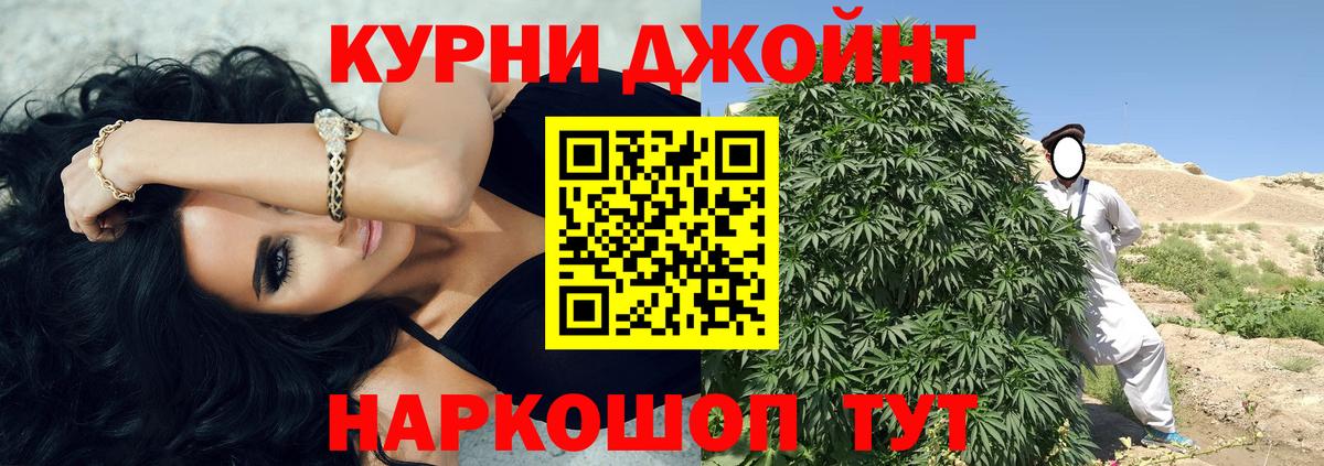 Конопля планчик Элиста